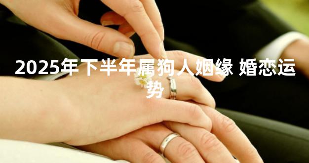 2025年下半年属狗人姻缘 婚恋运势